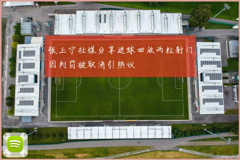 张玉宁社媒分享进球回放两粒射门因判罚被取消引热议